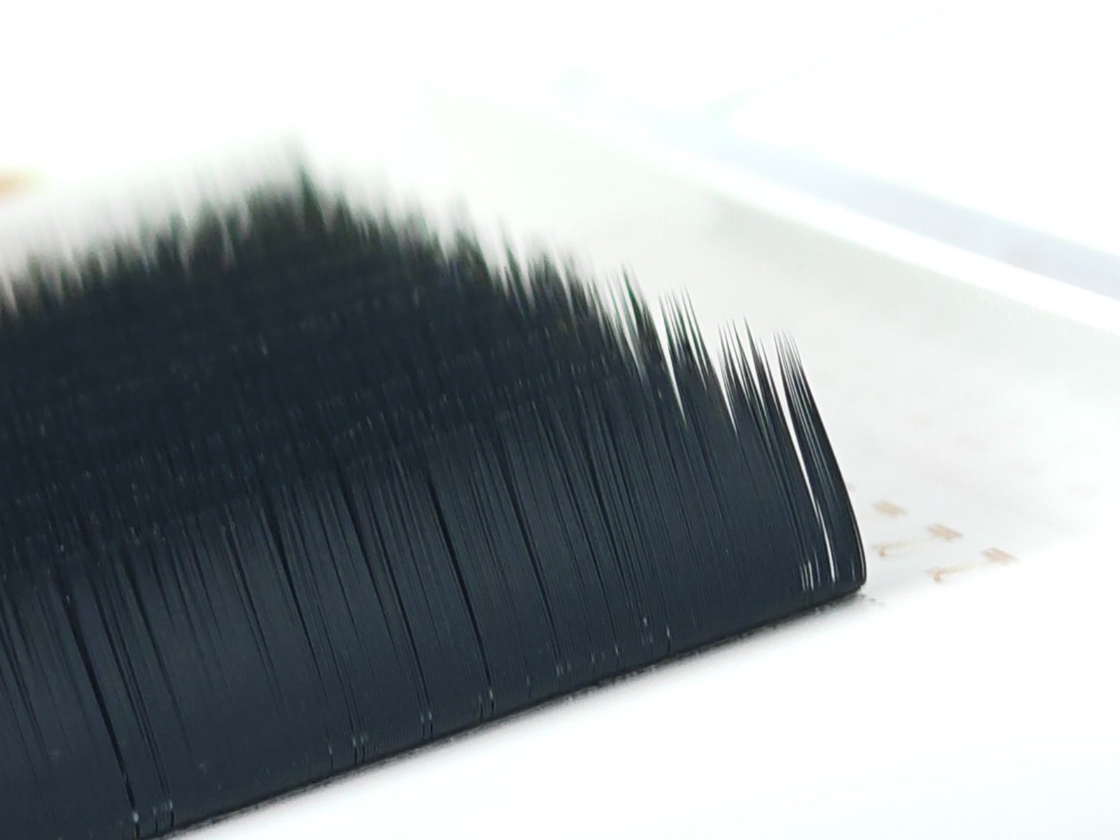 Soft Black Lashes 0.10 |  L,L+,LC ,LD ,LU (M) curl image 5