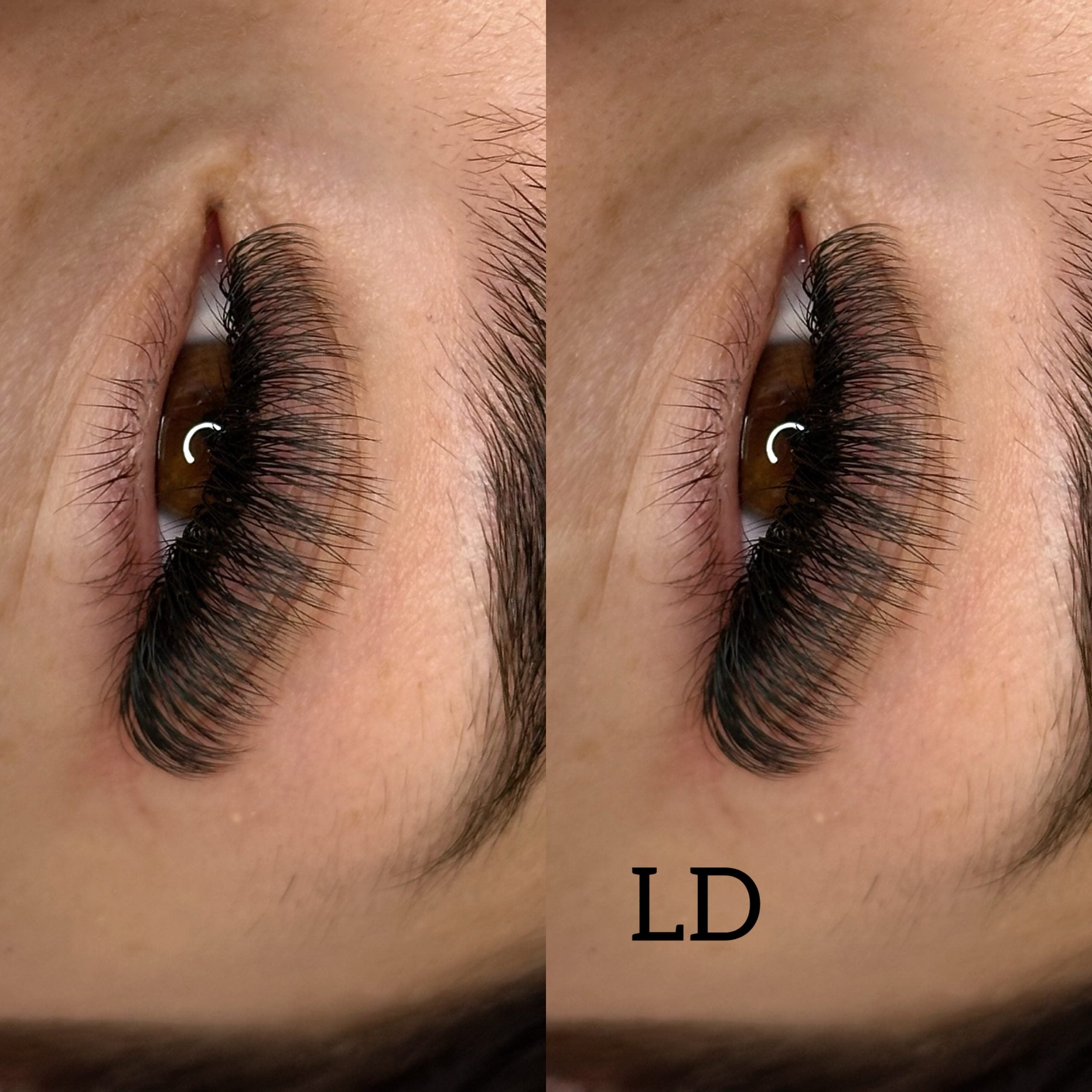 Soft Black Lashes 0.10 |  L,L+,LC ,LD ,LU (M) curl image 3