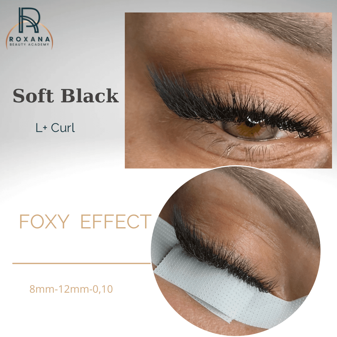 Soft Black Lashes 0.10 |  L,L+,LC ,LD ,LU (M) curl image 8
