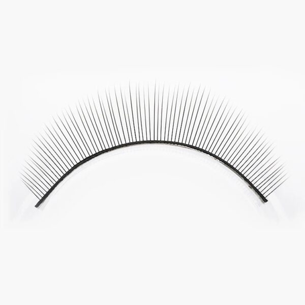Roxana Beauty Academy 57919D30 0A61 42C8 AC5A 1B1DE93CA7D0